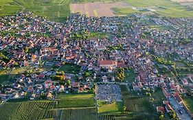 Sur La Route Des Vins Entre Colmar Et Strasbourg